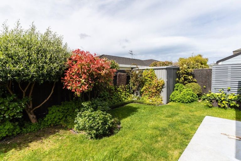 Photo of property in 36a Ellesmere Avenue, Miramar, Wellington, 6022