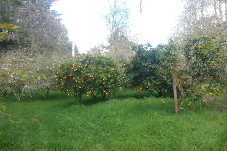 Photo of property in 88 Mark Road, Te Puke, 3188