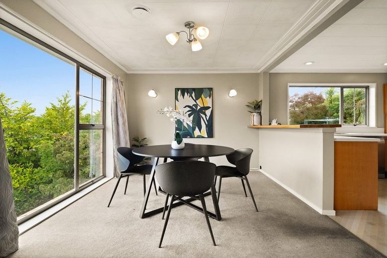 Photo of property in 5a Fifield Street, Roslyn, Dunedin, 9010