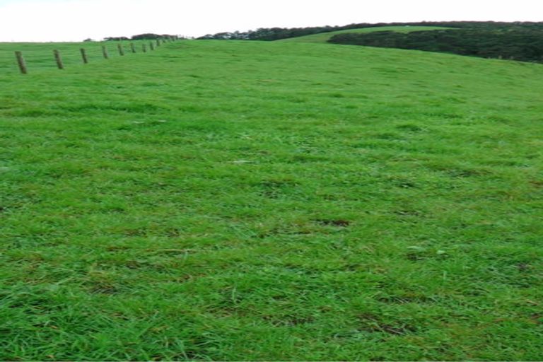 Photo of property in 103 Block Road, Hikutaia, Paeroa, 3674