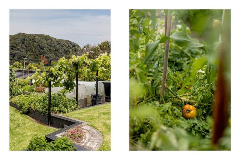 Photo of property in 38 Nesbitt Street, Matata, Whakatane, 3194