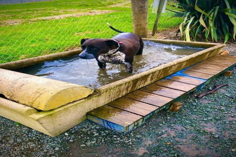 Photo of property in 49b Old Onerahi Road, Onerahi, Whangarei, 0110