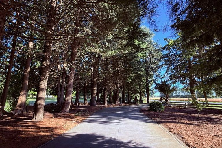 Photo of property in 206 Beach Road East, Elgin, Ashburton, 7777