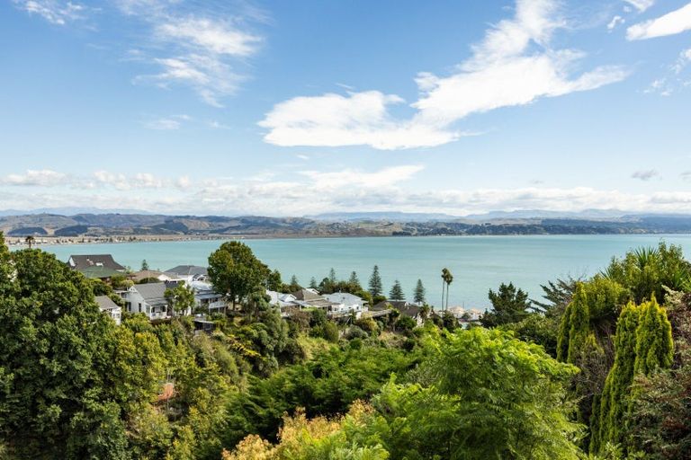 Photo of property in 12a Cobden Crescent, Bluff Hill, Napier, 4110