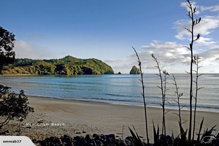 Photo of property in 46 Te Punga Road, Whangapoua, Coromandel, 3582