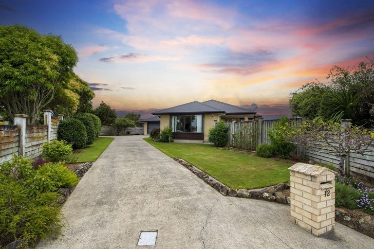 Photo of property in 12 Corfe Castle Lane, Levin, 5510