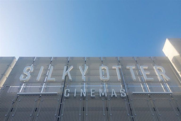 Photo of property in 45 Ascot Street, Appleby, Richmond, 7020