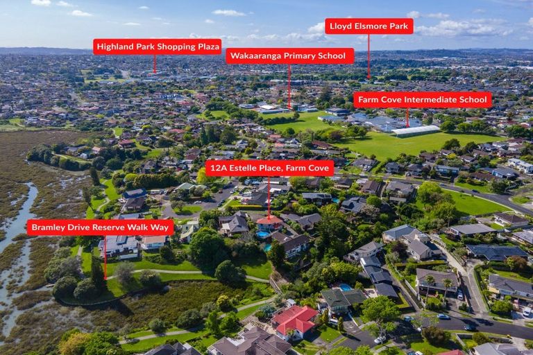 Photo of property in 12a Estelle Place, Farm Cove, Auckland, 2012