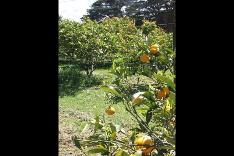 Photo of property in 3921 Far North Road, Pukenui, Kaitaia, 0484