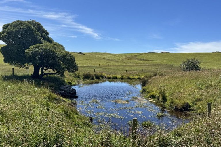 Photo of property in 1 Church Hill Road, Green Island, Dunedin, 9018
