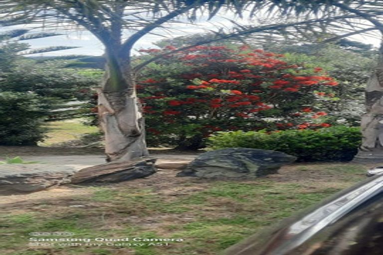 Photo of property in 248 Molesworth Drive, Mangawhai Heads, Mangawhai, 0505