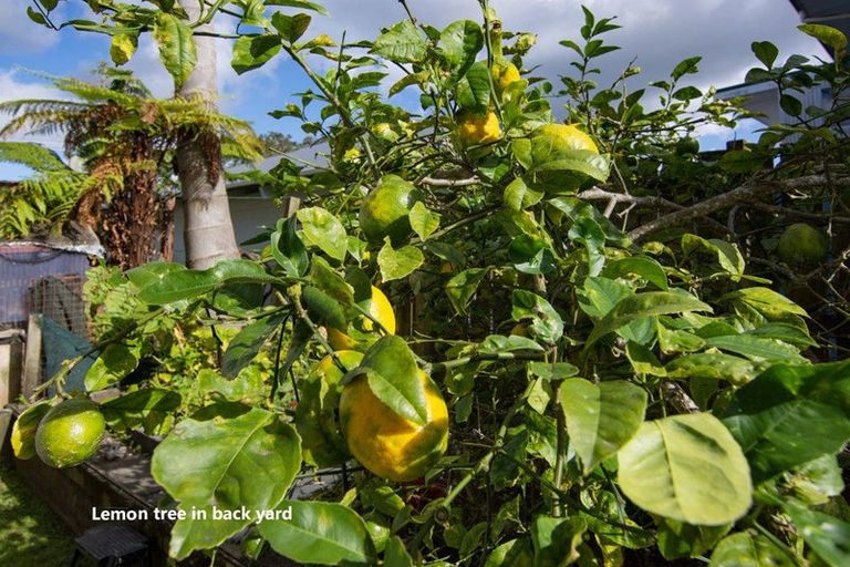 Photo of property in 4/43 Anzac Road, Browns Bay, Auckland, 0630