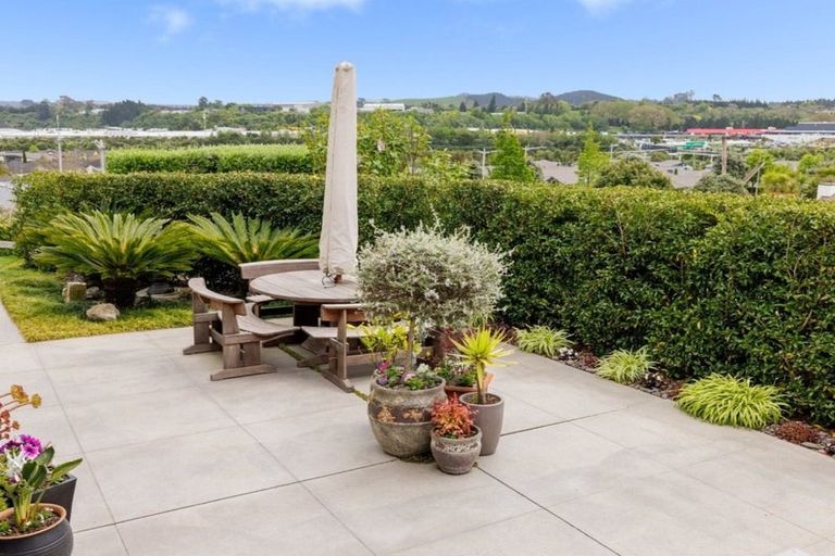 Photo of property in 16 Rexford Heights, Pyes Pa, Tauranga, 3112