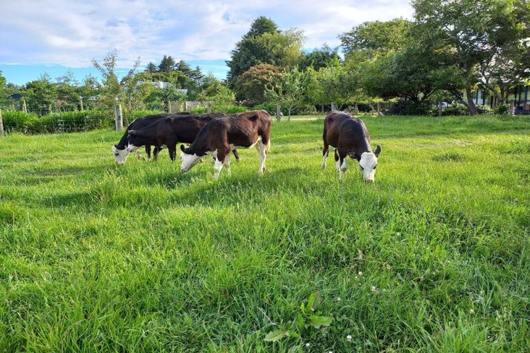 Photo of property in 47 Whiterocks Road, Deborah, Oamaru, 9492