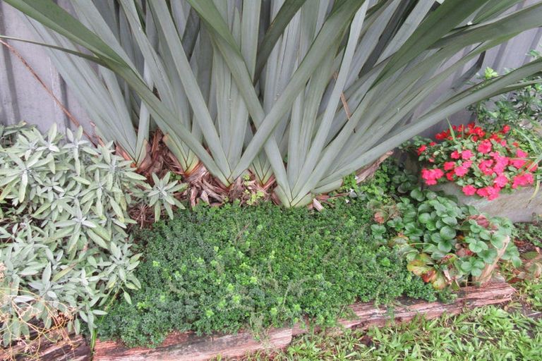 Photo of property in 81 Ward Street, Cobden, Greymouth, 7802