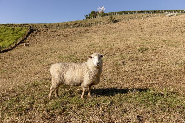 Photo of property in 63a Mountier Road, Whakamarama, Katikati, 3181