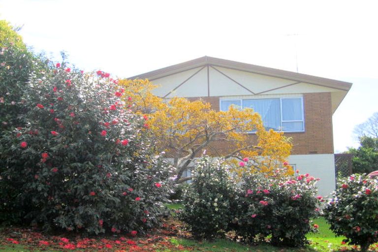 Photo of property in 37 The Drive, Brookfield, Tauranga, 3110