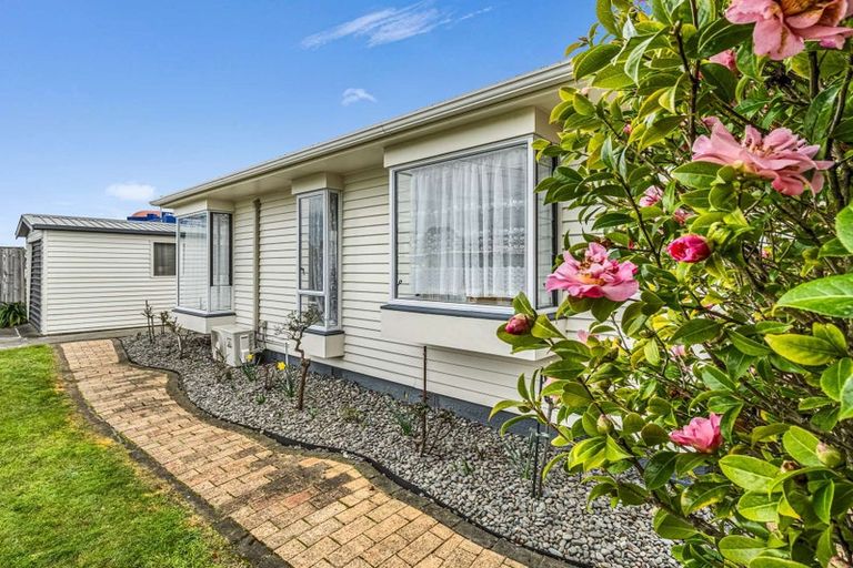 Photo of property in 34a Fitzherbert Avenue, Springvale, Whanganui, 4501
