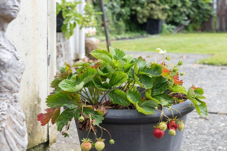 Photo of property in 14 Marlborough Street, Greymouth, 7805