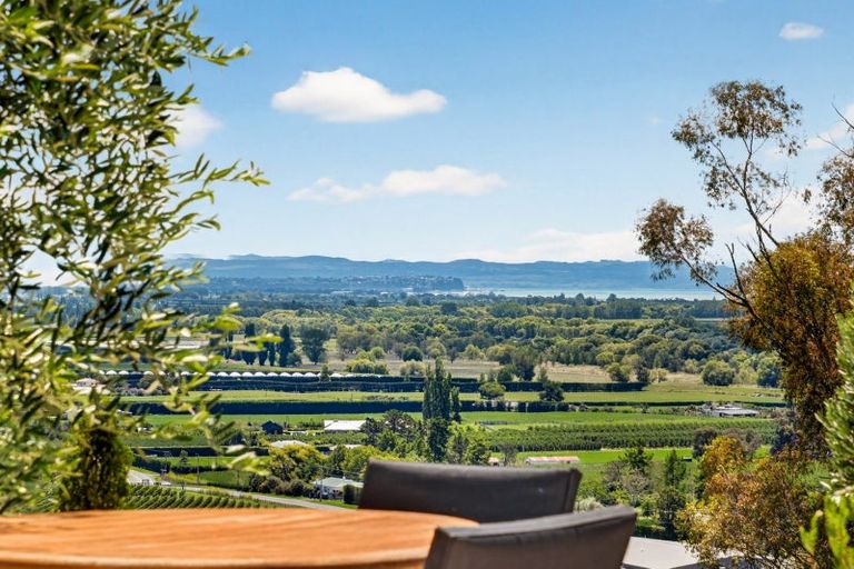 Photo of property in 42 Mclean Road, Havelock North, 4294