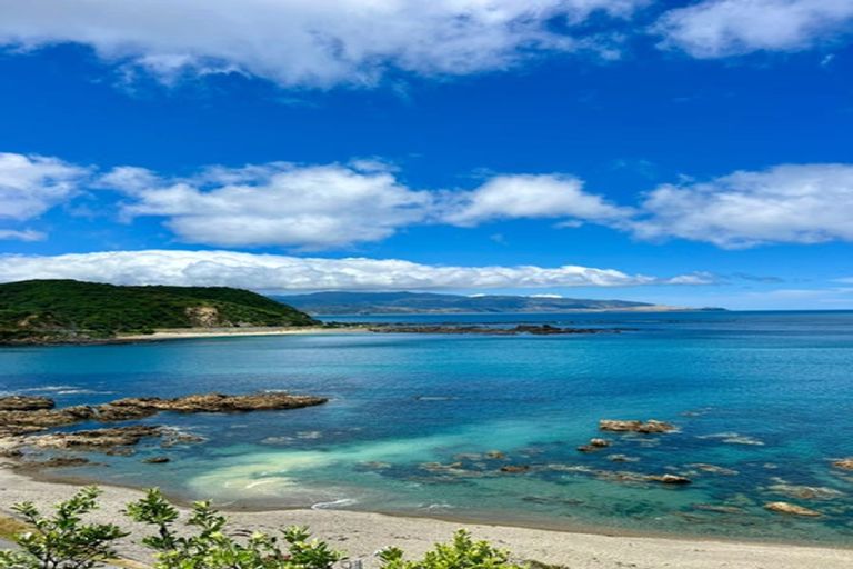 Photo of property in 114 The Esplanade, Houghton Bay, Wellington, 6023