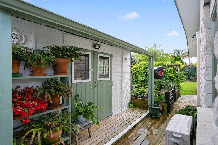 Photo of property in 55 Seales Road, Morrinsville, 3300