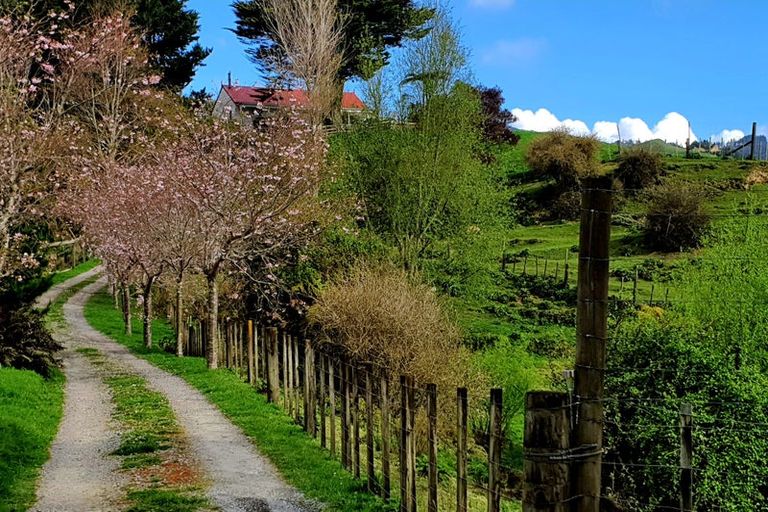 Photo of property in 33 Ratadale Road, Reikorangi, Waikanae, 5391