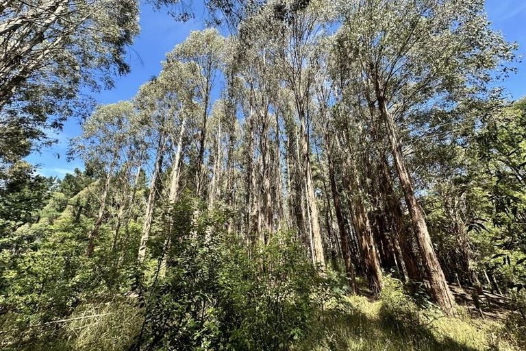 Photo of property in 13 Okuti Valley Road, Little River, 7591