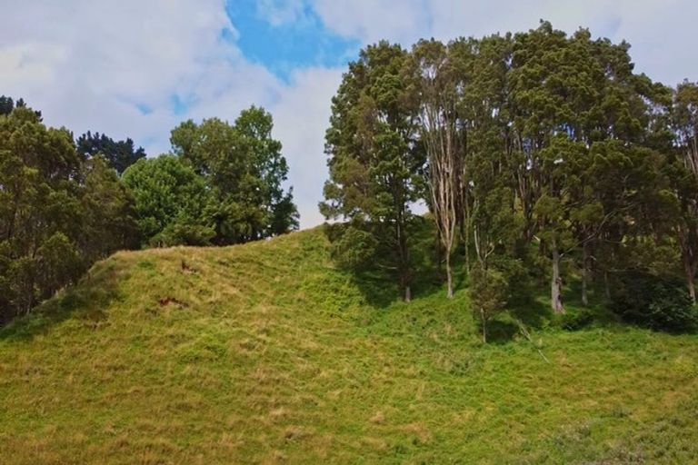 Photo of property in 822 Motukawa Road, Tarata, Inglewood, 4387