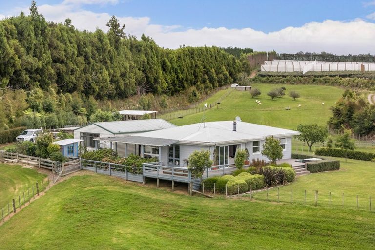 Photo of property in 110 Tuapiro Road, Tahawai, Katikati, 3170
