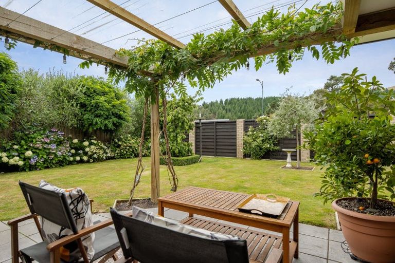 Photo of property in 42 Grigg Drive, Witherlea, Blenheim, 7201