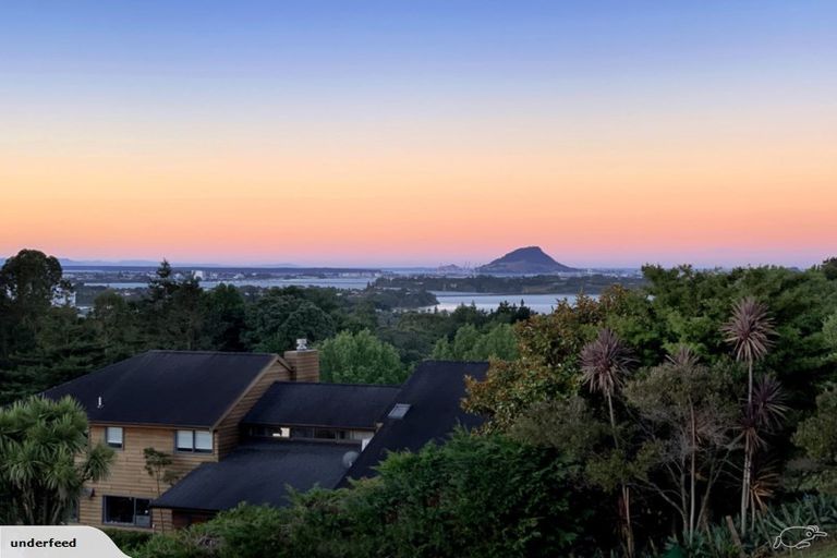 Photo of property in 41 Moira Close, Welcome Bay, Tauranga, 3175