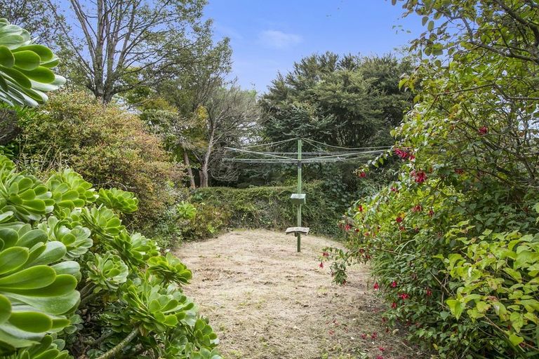 Photo of property in 213 Signal Hill Road, Opoho, Dunedin, 9010