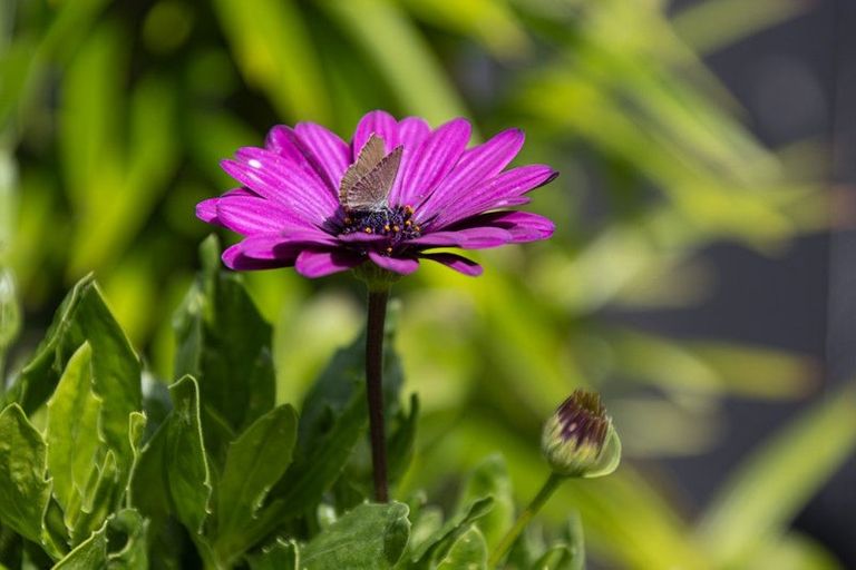 Photo of property in 6 Matau Close, Te Kauwhata, 3710