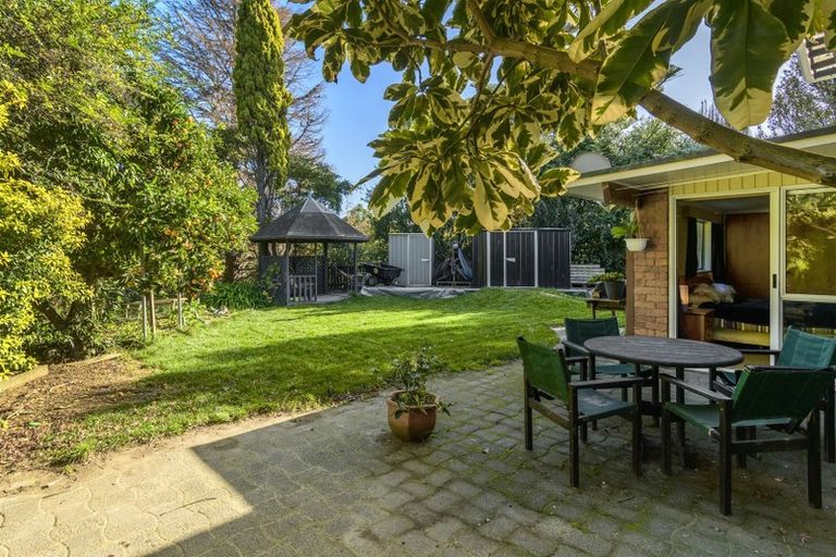 Photo of property in 175 Kingswood Road, Brookfield, Tauranga, 3110