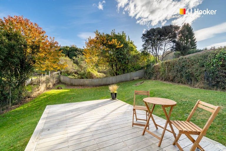 Photo of property in 113 Chapman Street, Wakari, Dunedin, 9010