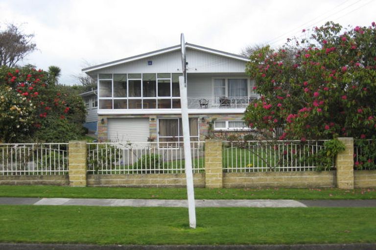 Photo of property in 89 Kawiu Road, Levin, 5510