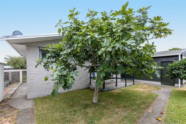 Photo of property in 4 Villa Place, Bell Block, New Plymouth, 4312