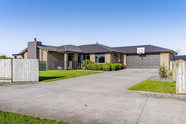 Photo of property in 20 Larlin Drive, Hawera, 4675