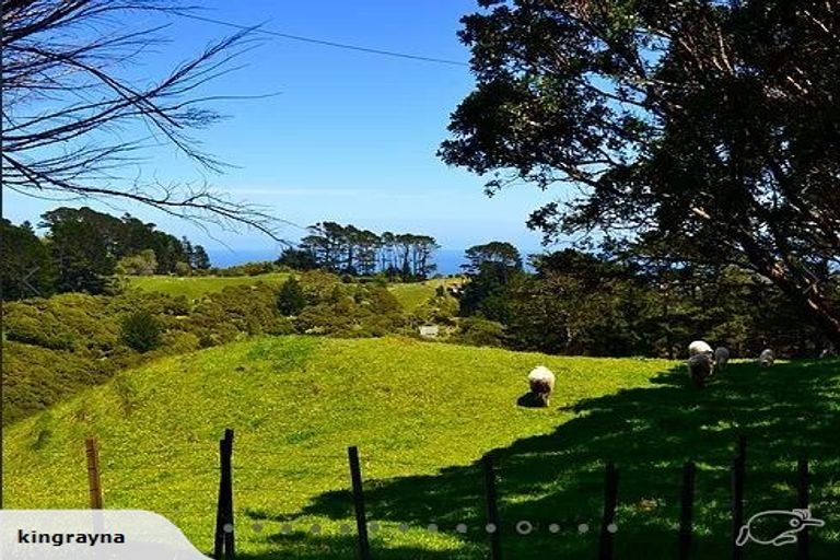 Photo of property in 156 Lone Kauri Road, Karekare, New Lynn, 0772