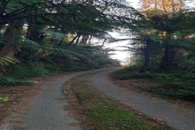 Photo of property in 1226a Pyes Pa Road, Pyes Pa, Tauranga, 3173