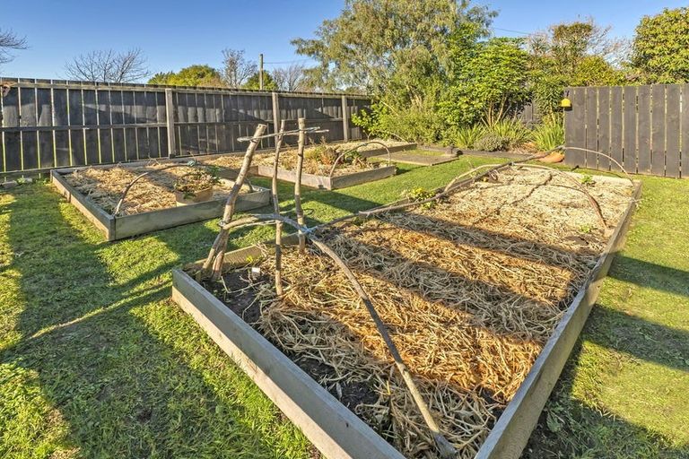 Photo of property in 3 Jackson Street, Darfield, 7510