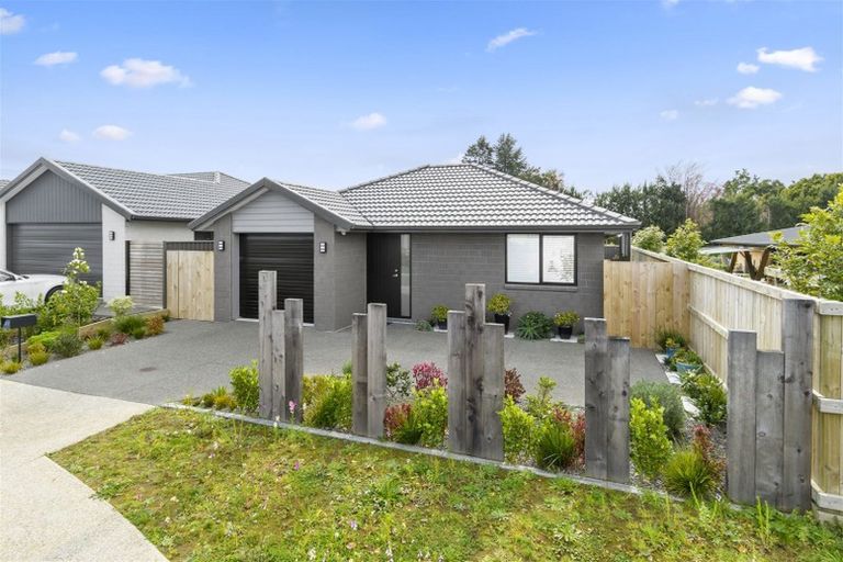 Photo of property in 21 Taffe Crescent, Pyes Pa, Tauranga, 3112