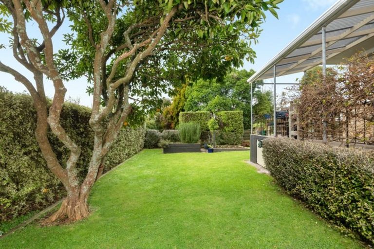 Photo of property in 22 Montgomery Road, Judea, Tauranga, 3110