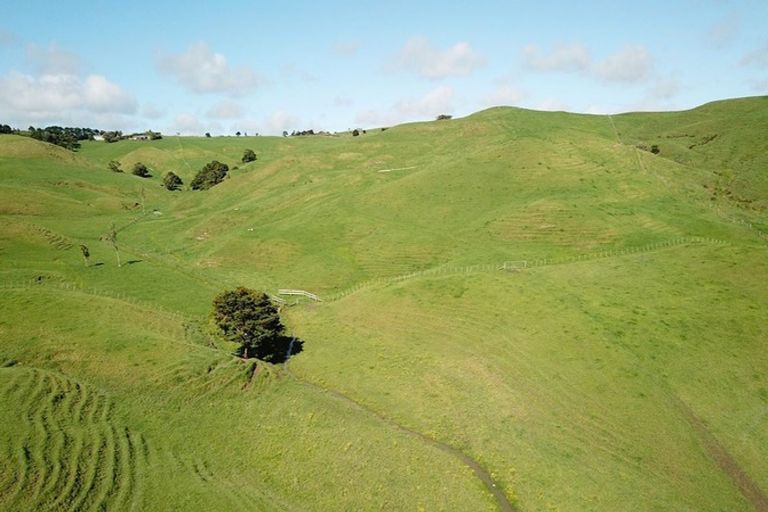 Photo of property in 259 Arapohue Road, Turiwiri, Dargaville, 0374