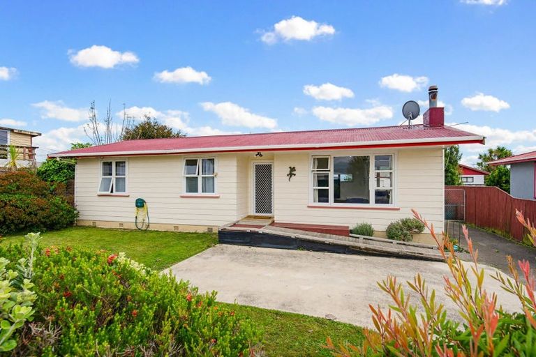 Photo of property in 14 William Street, Levin, 5510