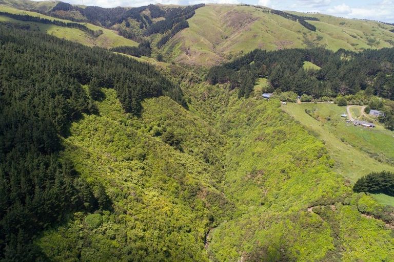 Photo of property in 631 Pahiatua Aokautere Road, Aokautere, Palmerston North, 4471