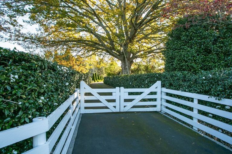 Photo of property in 45 Lowe Road, Rukuhia, Hamilton, 3282