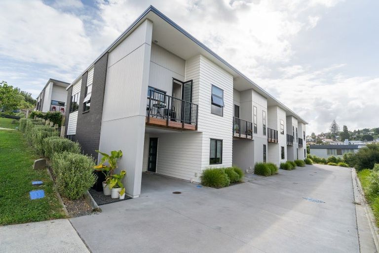 Photo of property in 6c Cheese Factory Lane, Brookfield, Tauranga, 3110