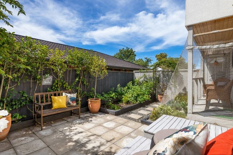 Photo of property in 223a Redwood Street, Witherlea, Blenheim, 7201